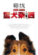 2006靈犬萊西