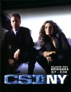 CSI紐約犯罪現場第一季3
