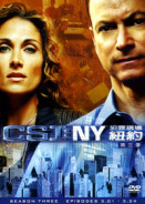 CSI犯罪現場紐約第三季7